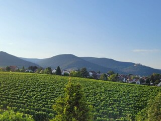 Blick DG Balkon