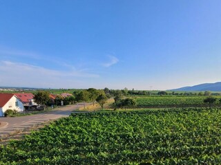 Blick Balkon OG