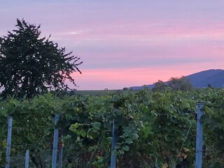 Abendstimmung am Haus