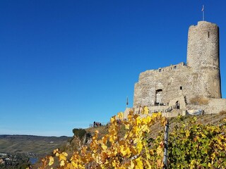 Burgruine Landshut