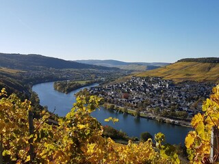 Aussicht von der Burgruine Landshut