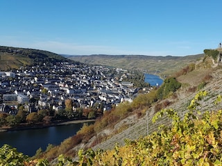 Blick auf die Mosel und Kues
