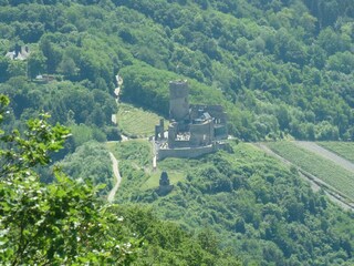 Blick auf die Burgruine Landshut