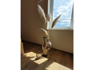 Ferienwohnung Tettnang Ausstattung 4