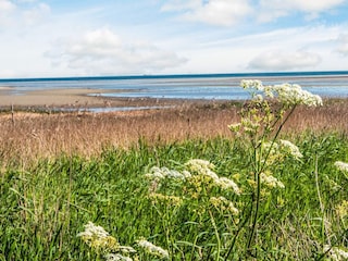 Ferienhaus Ørsted  42