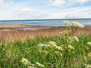 Vakantiehuis Ørsted  42