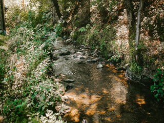 Parc de vacances Malmedy Environnement 29