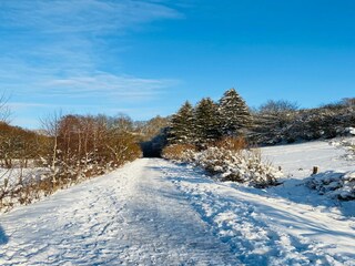 Parco vacanze Malmedy Ambiente 31