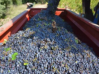 Villa Puilacher Ambiente 32