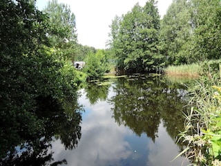 Ferienhaus Kołczewo Außenaufnahme 2