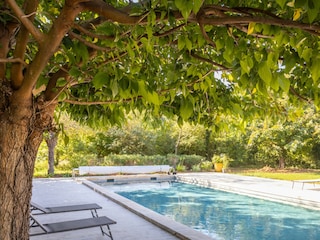 Ferienhaus Le Pontet Außenaufnahme 6