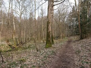 Vakantiehuis Ebeltoft  24