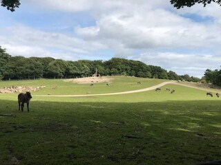 Vakantiehuis Ebeltoft  30