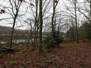 Vakantiehuis Ebeltoft  40