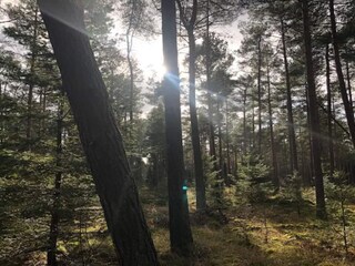 Ferienhaus Ebeltoft  2