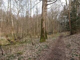 Vakantiehuis Ebeltoft  3