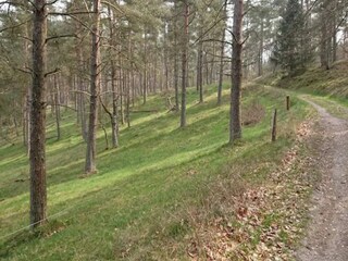 Vakantiehuis Ebeltoft  6