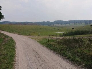 Ferienhaus Ebeltoft  7