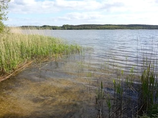 Vakantiehuis Ebeltoft  9