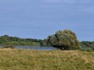 Ferienhaus Ebeltoft  16