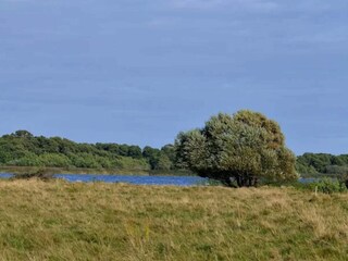 Vakantiehuis Ebeltoft  12