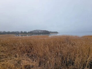 Vakantiehuis Ebeltoft  17