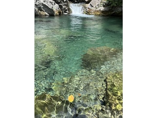 natürliche Pools