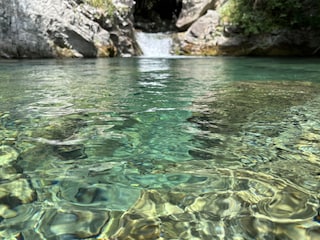 natürliche Pools