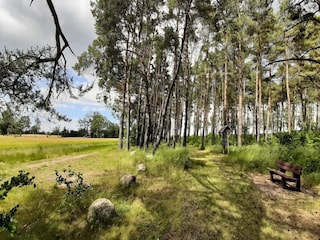 Apartment Plau am See Environment 21