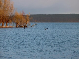 Appartement Plau am See Omgeving 23