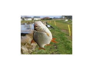 Casa de vacaciones Ustka  26