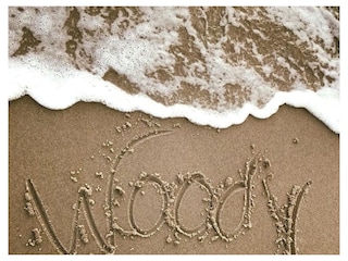 Woody- Wasser
