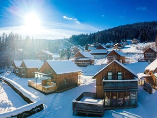 Chalet Stadl an der Mur Umgebung 29