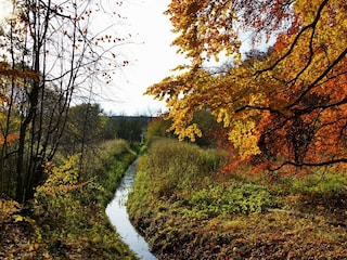 Ferienhaus Weberin Umgebung 21