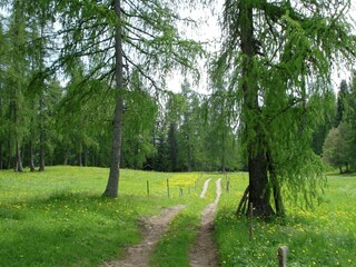 Appartamento Brez Ambiente 17