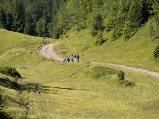 Appartamento Brez Ambiente 18