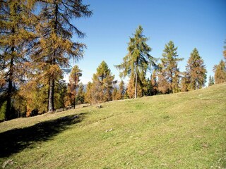 Appartamento Brez Ambiente 20