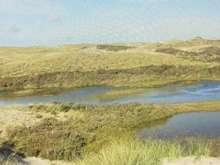 Ferienhaus Holland Umgebung 14