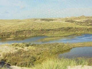 Vakantiehuis Holland Omgeving 14