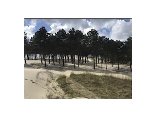 Ferienhaus Holland Umgebung 16