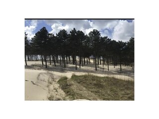 Maison de vacances Holland Environnement 16