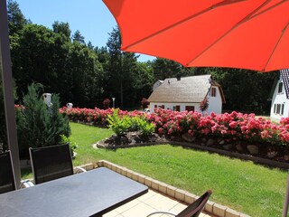 Blick in den Garten anno 2015, Pflanzen sind gewachsen