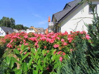 die Natur wird Ihnen gut tun