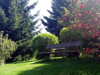 Ferienhaus Milevsko Dokument 35