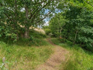Ferienhaus Westenschouwen Außenaufnahme 7