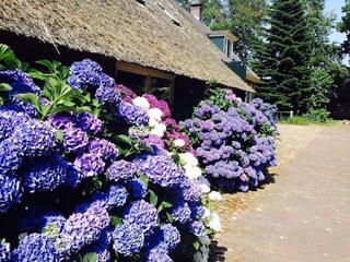 Villa Noordenveld  34