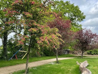 Villa Noordenveld  22