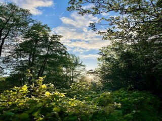 Parco vacanze Munnekeburen Ambiente 34