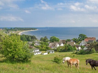 Landschaft
