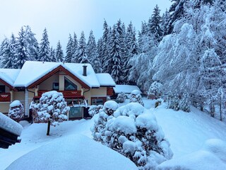 Appartamento per vacanze Velden Registrazione all'aperto 22